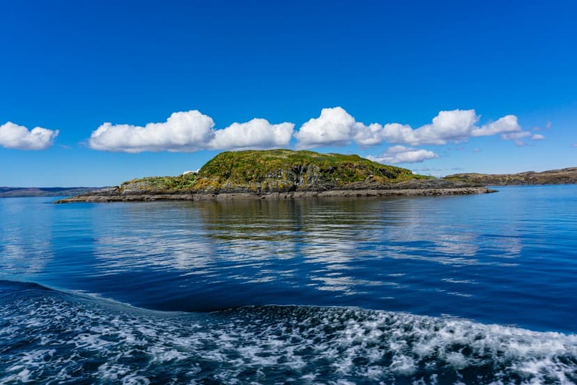 Eigg: Field Notes from a Small Island That Teaches You to Listen