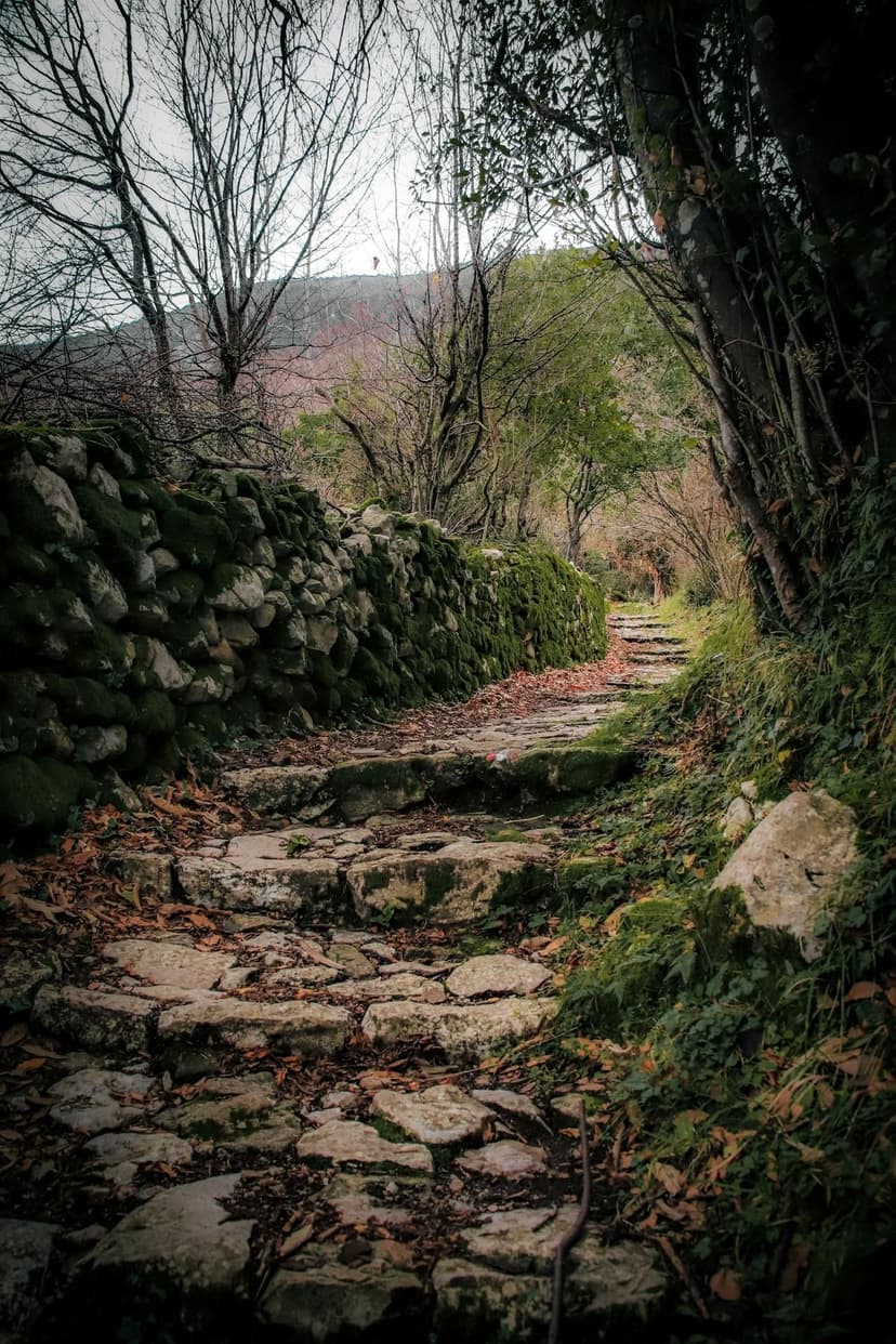 The Village That Waits for You: Gornji Stoliv, Montenegro